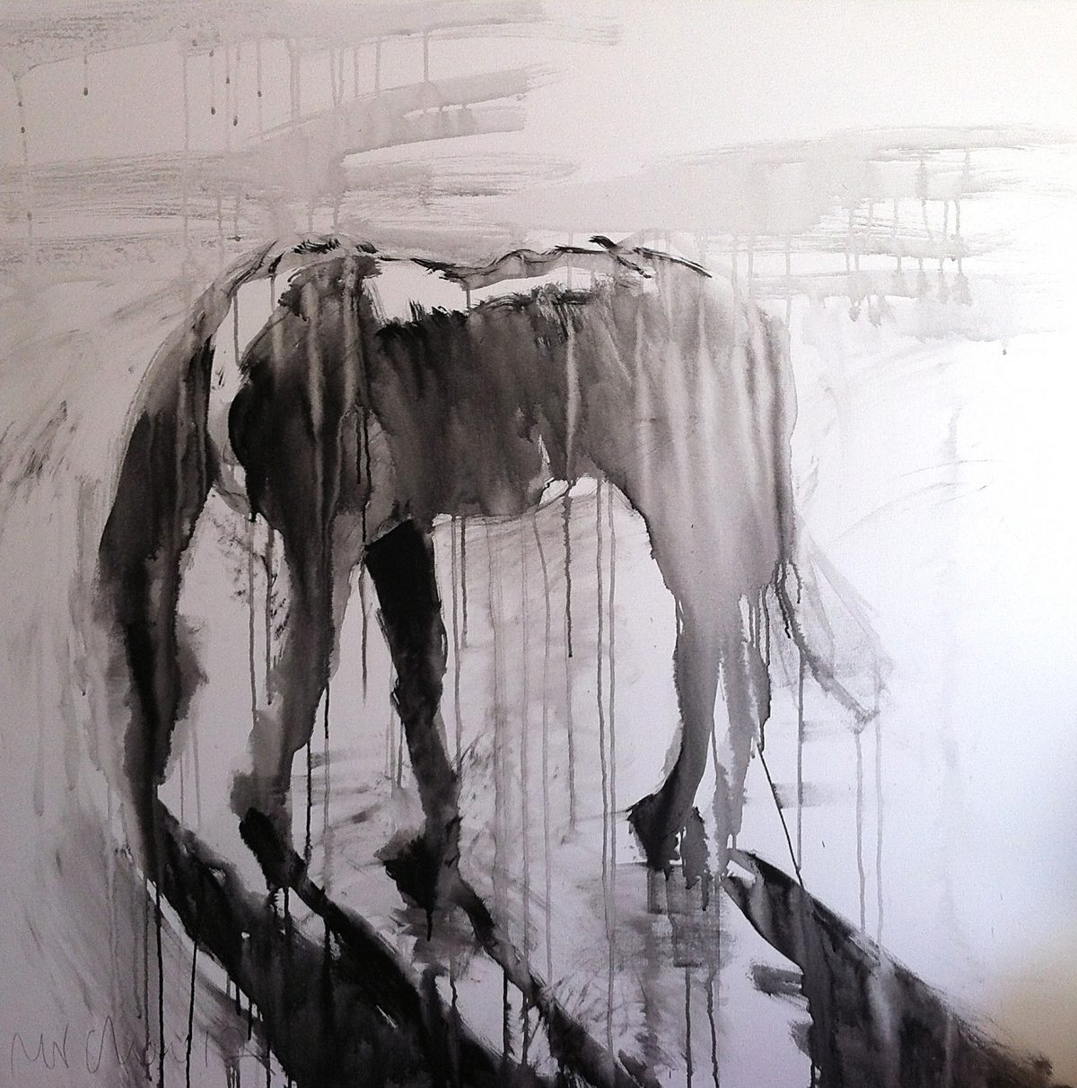 Horse study